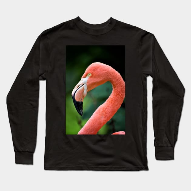 Flamingo Bird Long Sleeve T-Shirt by InspiraImage